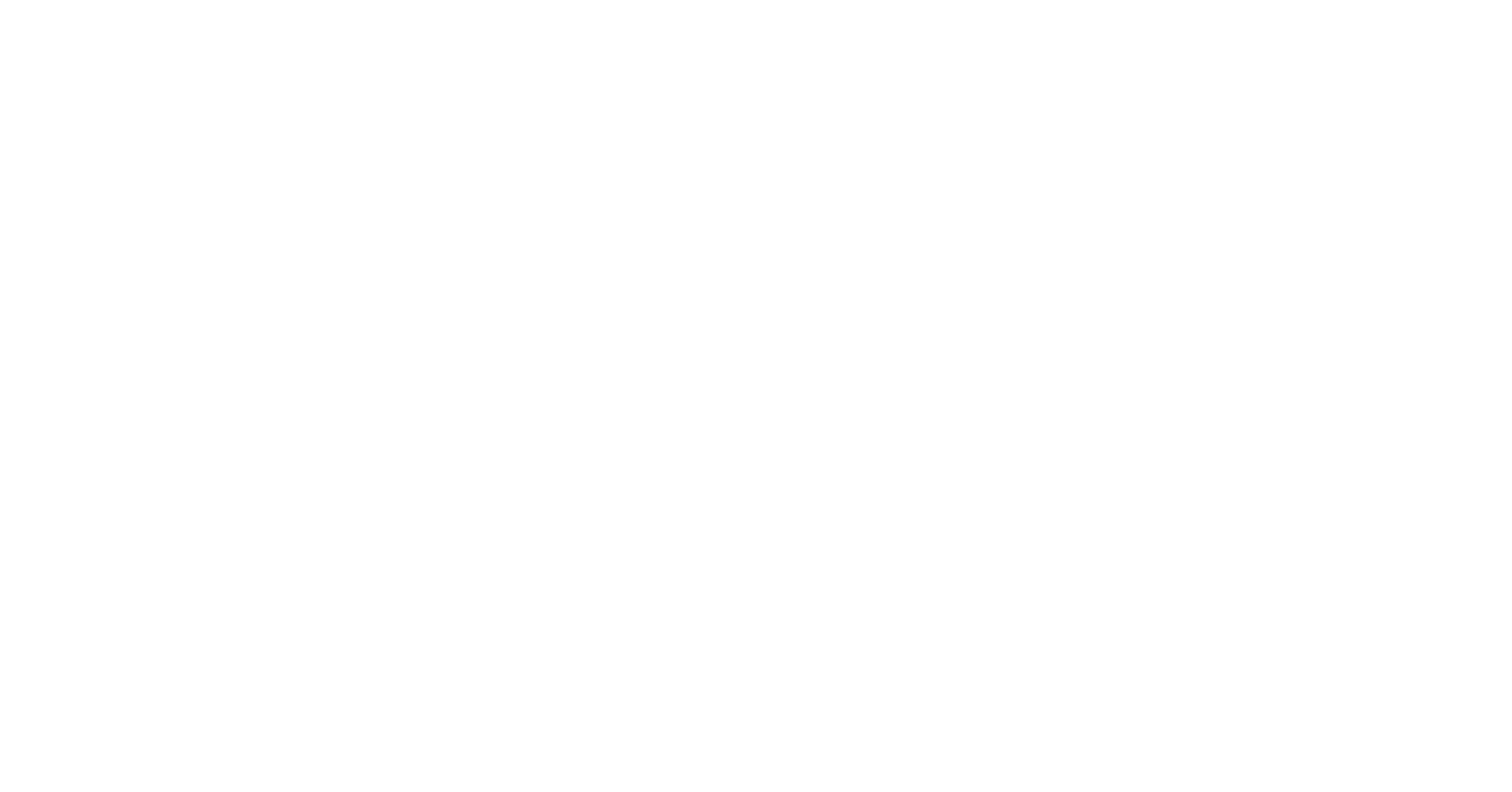 logo main